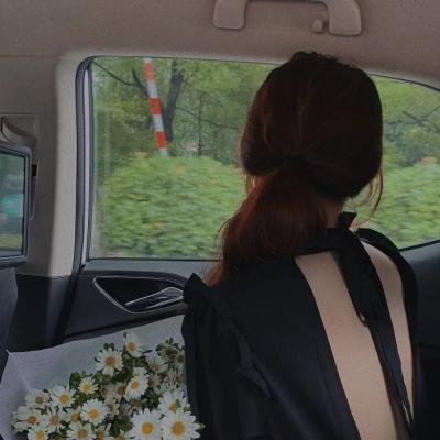 鲜衣怒马踏长安